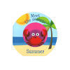 Picture of MEET THE SEASONS-SUMMER