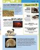 Picture of ULTIMATE QUESTIONS & ANSWERS-PLANET EARTH